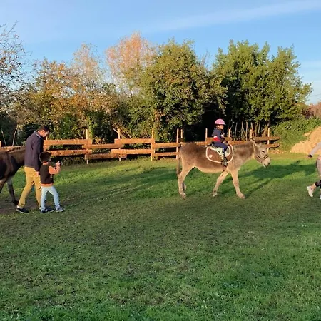 Bambou 럭셔리텐트 *