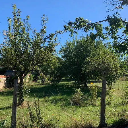 Bambou Luxury tent *