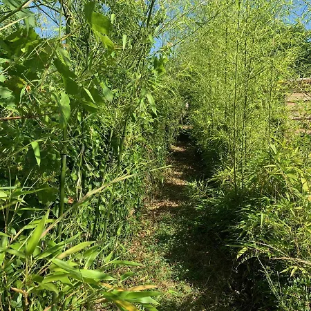 럭셔리텐트 Bambou